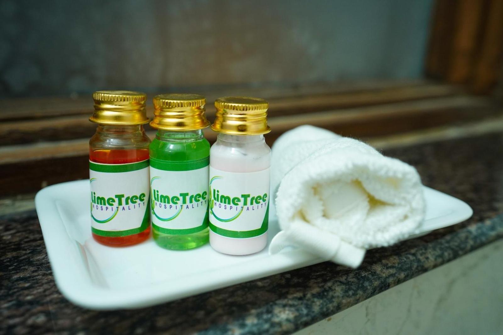 Lime Tree Service Apartment - Medanta Medicity, グルガウン エクステリア 写真